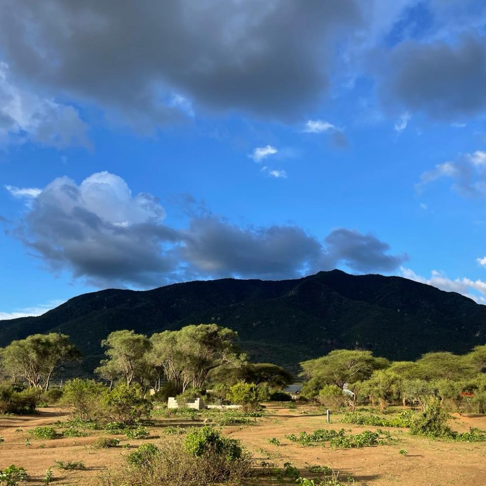 WhatsApp Image 2024-02-28 at 3.53.16 PM