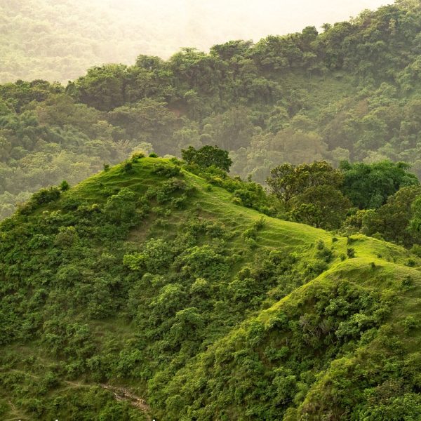 hill, grass, grasslands-6557956.jpg