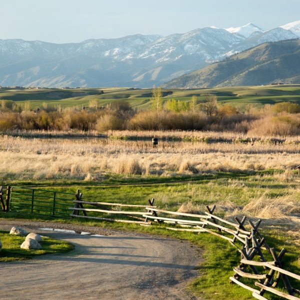 life, beauty, scene-863169.jpg